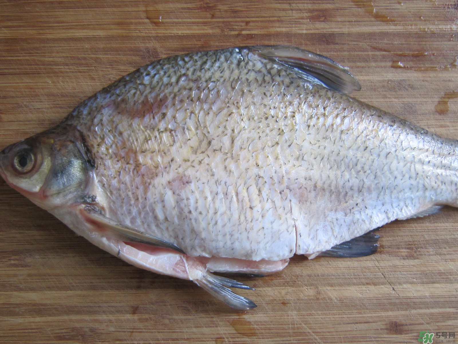 三伏灸可以吃魚嗎？三伏灸可以吃什么魚？