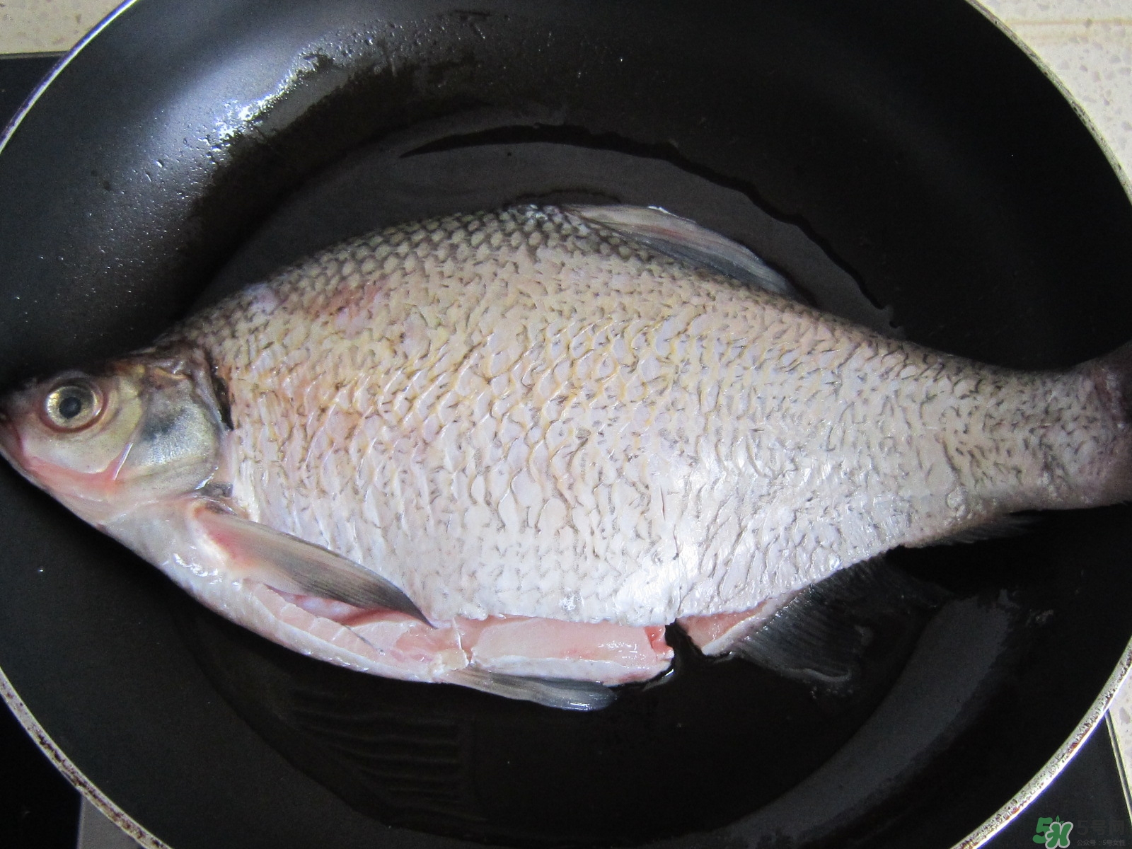 三伏灸可以吃魚嗎？三伏灸可以吃什么魚？