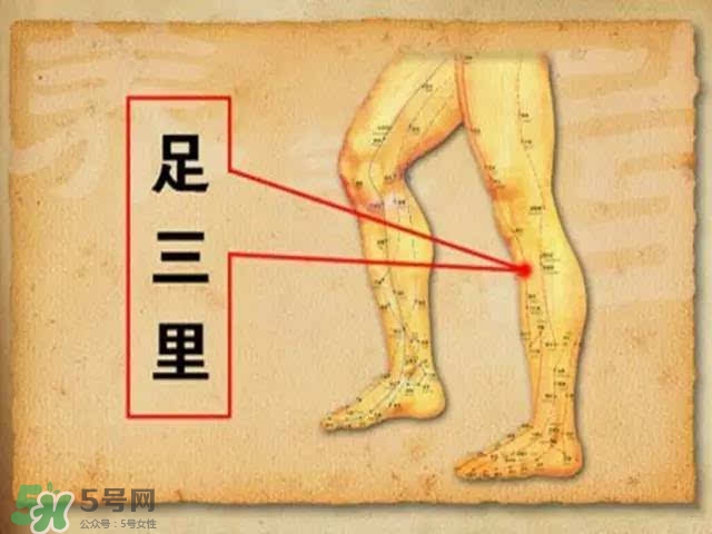 三伏灸可以去除體內濕氣嗎？三伏灸可以去濕氣嗎？