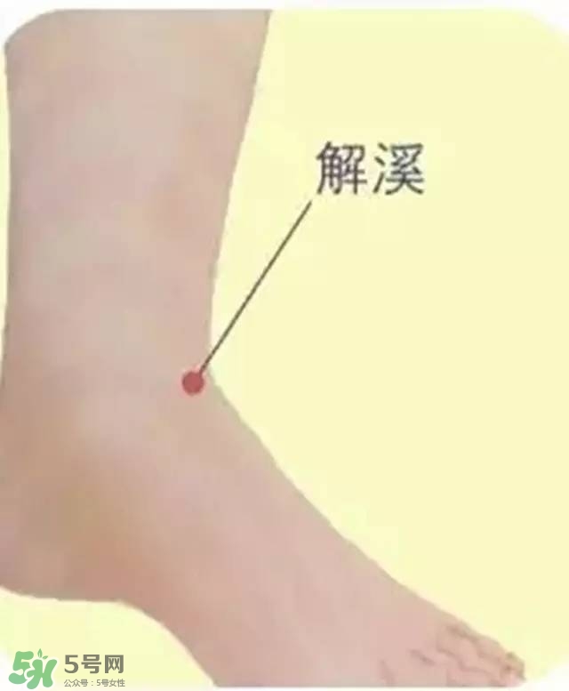 三伏灸可以去除體內濕氣嗎？三伏灸可以去濕氣嗎？