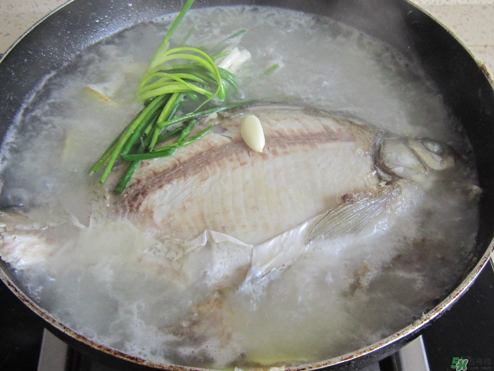 三伏灸可以吃魚嗎？三伏灸可以吃什么魚？