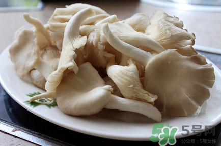 平菇怎么吃最有營養？平菇長白毛還能吃嗎