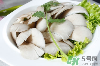 平菇怎么吃最有營養？平菇長白毛還能吃嗎