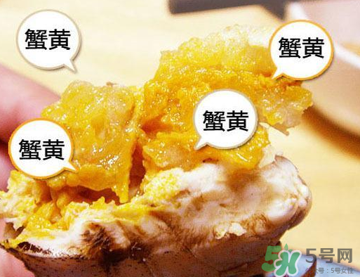 六月黃大閘蟹好吃嗎？六月黃和大閘蟹有什么區(qū)別？