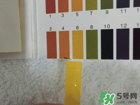 eve女性護理液粉色瓶和藍色瓶有什么區別？