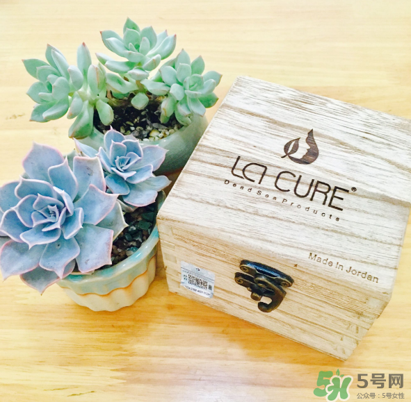 天然死海礦物泥面膜怎么樣？天然死海礦物泥面膜好用嗎？