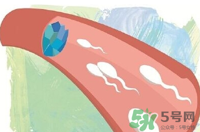 男性避孕藥什么牌子好？男性避孕藥多少錢一盒？