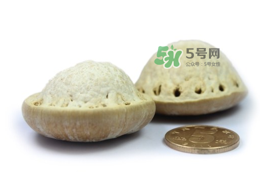 風流果泡酒要不要敲碎？壯陽果泡水要不要敲碎？