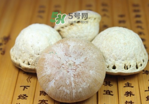 風流果泡酒要不要敲碎？壯陽果泡水要不要敲碎？