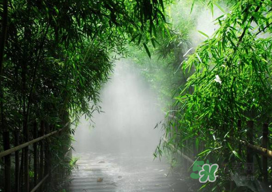 2017大暑會不會下雨？2017大暑下雨好嗎？