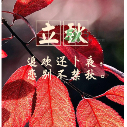 立秋后就是秋天了嗎？立秋后就涼快了嗎？