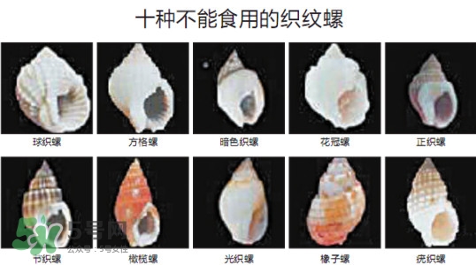 哪些人不能吃田螺？哪些田螺不能吃