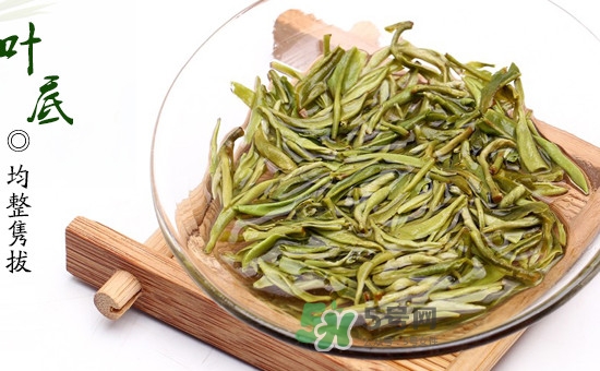 碧螺春是不是有很多絨毛？碧螺春的原產地是哪里
