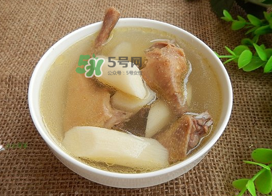 三伏天能吃鴿子嗎？三伏天能喝鴿子湯嗎？