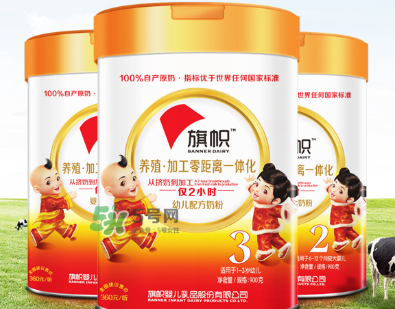 旗幟奶粉怎么樣？旗幟奶粉好不好？