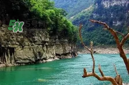 漂流需要準備什么東西？漂流哪里最好玩？