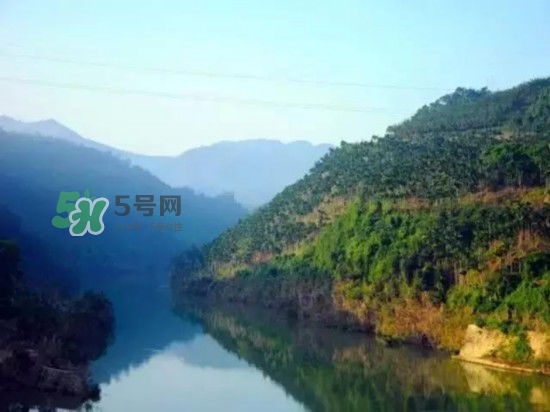 漂流需要準備什么東西？漂流哪里最好玩？