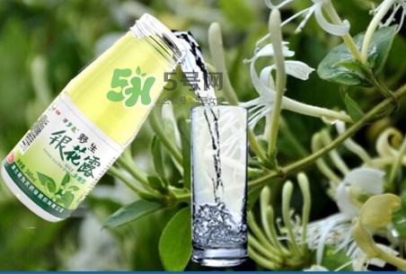 金銀花露可以冷藏嗎？金銀花露能放冰箱嗎？