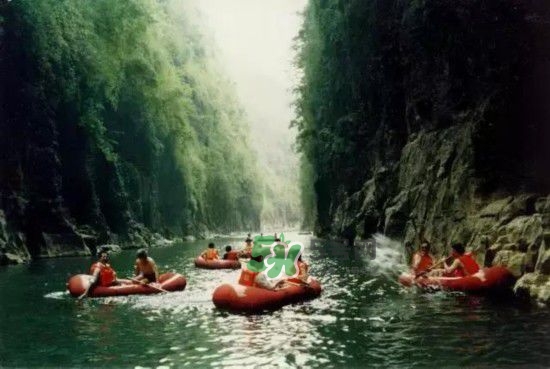 漂流需要準備什么東西？漂流哪里最好玩？