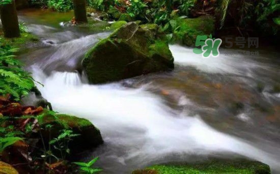 漂流需要準備什么東西？漂流哪里最好玩？