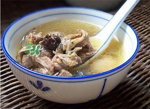 三伏天能吃鴿子嗎？三伏天能喝鴿子湯嗎？