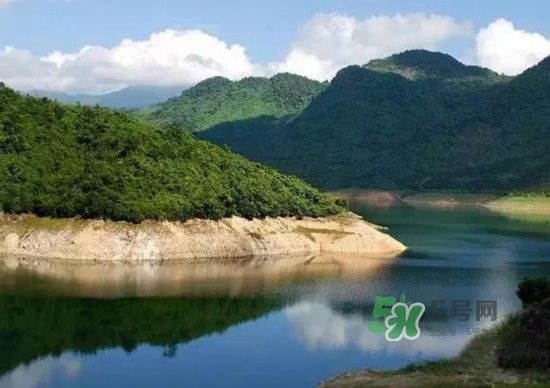 漂流需要準備什么東西？漂流哪里最好玩？