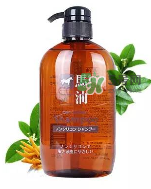 熊野馬油洗發水起頭屑嗎？KUMANO洗發水用完長頭屑嗎？
