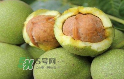 一斤青皮核桃退皮后剩多少？青皮核桃和普通核桃的區別