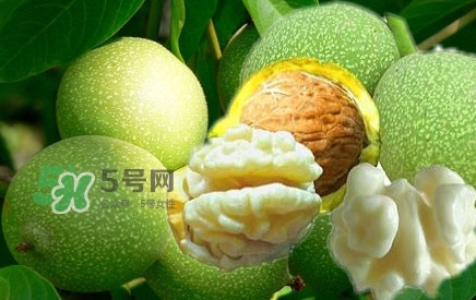 青皮核桃幾斤出一斤干核桃？青皮核桃什么時候成熟