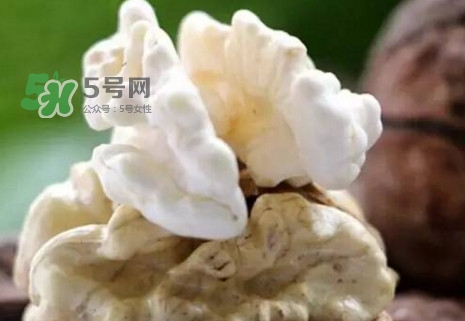 青皮核桃幾斤出一斤干核桃？青皮核桃什么時候成熟
