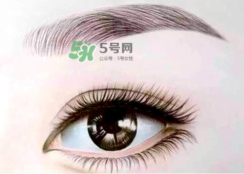 三伏天能紋眉嗎？三伏天紋眉毛好嗎？