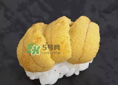 海膽怎么處理？海膽可以生吃嗎？