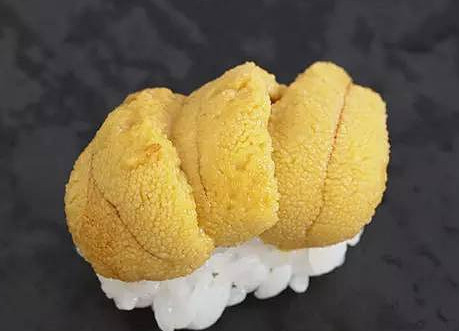活海膽怎么殺？海膽怎么開殼？