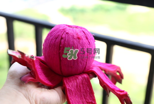 紅心火龍果能天天吃嗎？每天吃一個紅心火龍果好嗎？