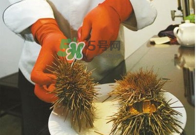 海膽是發物嗎？海膽是寒性的嗎