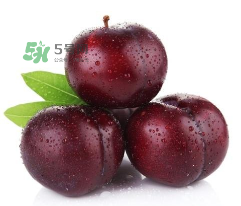 黑布林可以泡酒嗎？黑布林怎么吃？