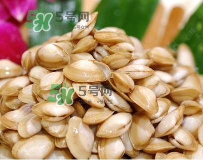 海瓜子怎么養？如何挑選海瓜子