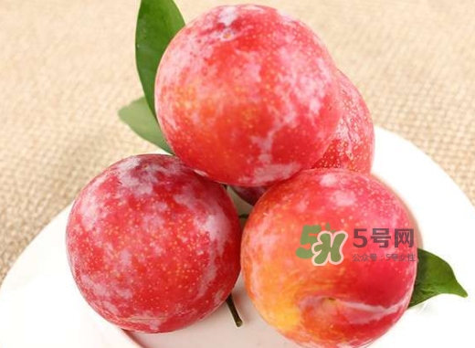 紅布林孕婦可以吃嗎？孕婦可以吃紅布林嗎？