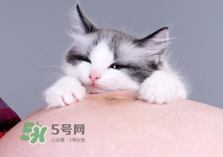 孕婦被貓抓了怎么辦？孕婦被貓抓傷了對寶寶有什么影響？