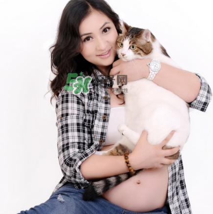 孕婦被貓抓了怎么辦？孕婦被貓抓傷了對寶寶有什么影響？