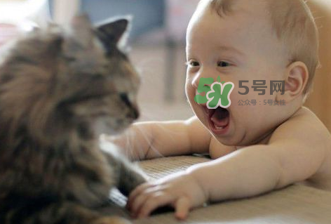 嬰兒被貓抓了怎么辦？嬰兒被貓咪咬了怎么辦？