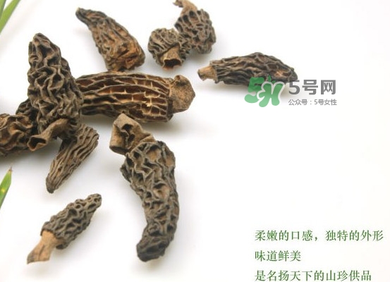野生羊肚菌多少錢一斤？干羊肚菌多少錢一斤