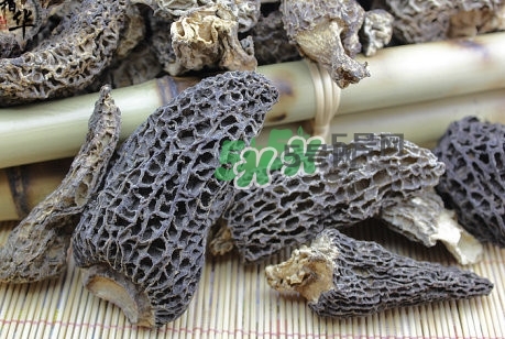 羊肚菌最大產地是哪兒？羊肚菌怎么泡發