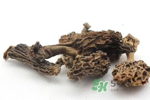 羊肚菌能治什么病？羊肚菌能冷凍保鮮嗎