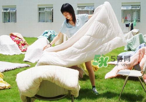三伏天能曬被子嗎？三伏天曬被子好嗎？