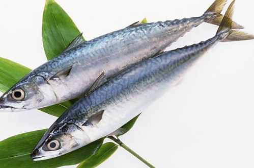 鳡魚吃什么？翹嘴魚和鳡魚有什么區別