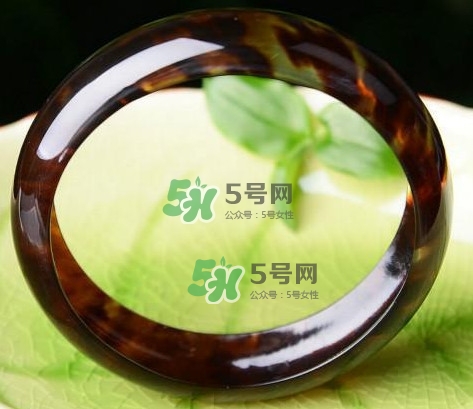 玳瑁是什么？玳瑁是國家保護動物嗎？