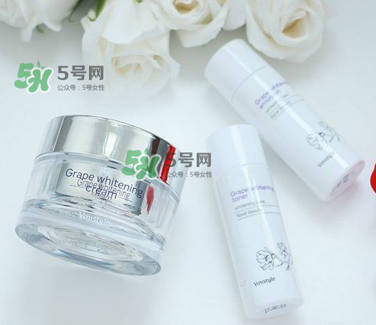 vinistyle是什么檔次？vinistyle怎么樣？