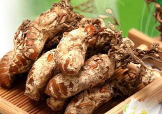 金蟬花可以放在冰箱嗎？新鮮金蟬花怎么保存？