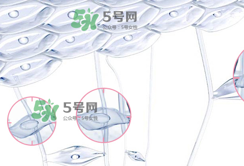 嬌韻詩青春賦活兩件套裝多少錢？嬌韻詩全新青春賦活系列怎么樣？